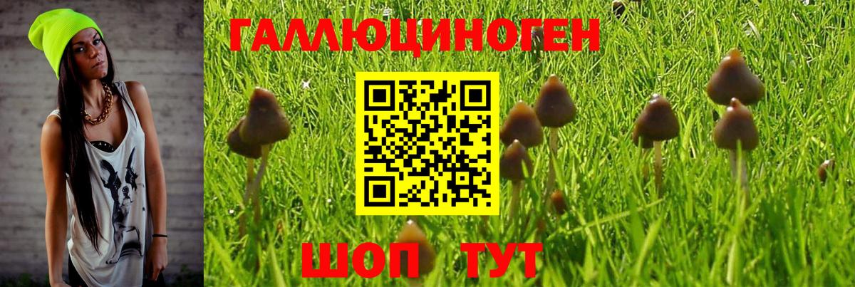 Екатеринбург  Псилоцибиновые грибы Psilocybine cubensis  Вход с VPN 